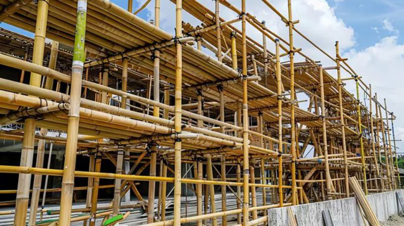 مزایای استفاده از داربست بامبو